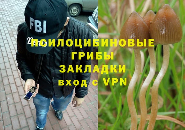 шишки Вязьма