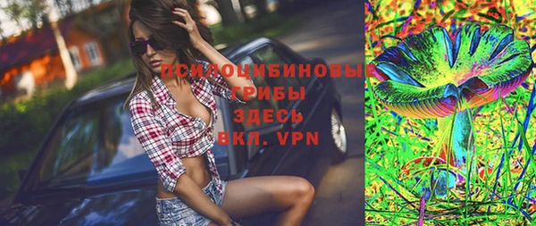 шишки Вязьма