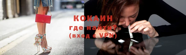 шишки Вязьма