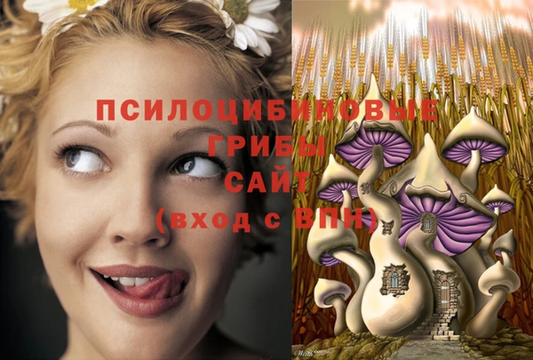 эйфоретик Вязники