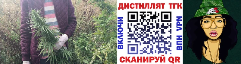 Купить  Суздаль  Дистиллят ТГК вейп 