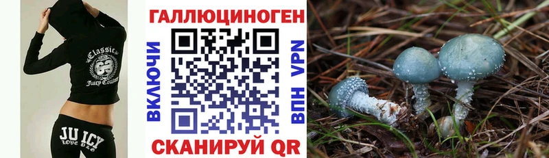 Купить закладки  Суздаль  Галлюциногенные грибы ЛСД 